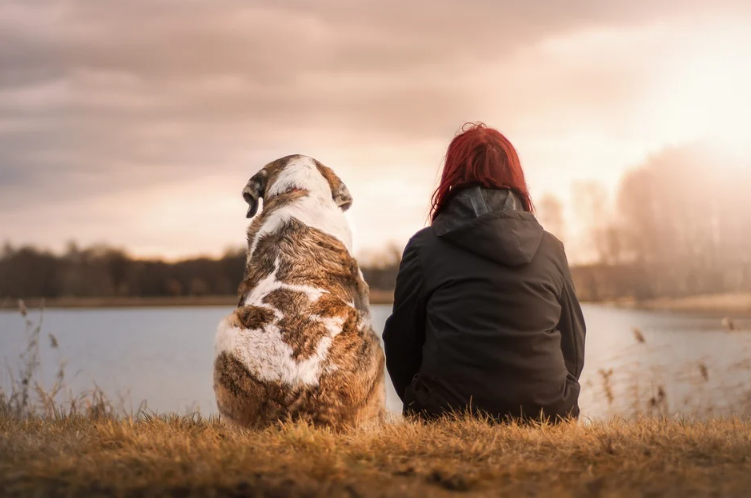 Man n dog